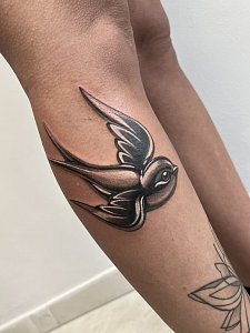 Galerie – obrázek 31